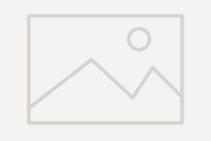 Mesh Tailgates Placeholder